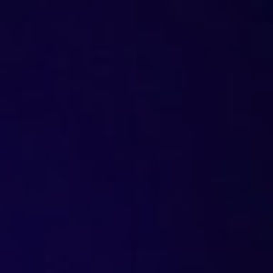 Meet your Posher, Sophia